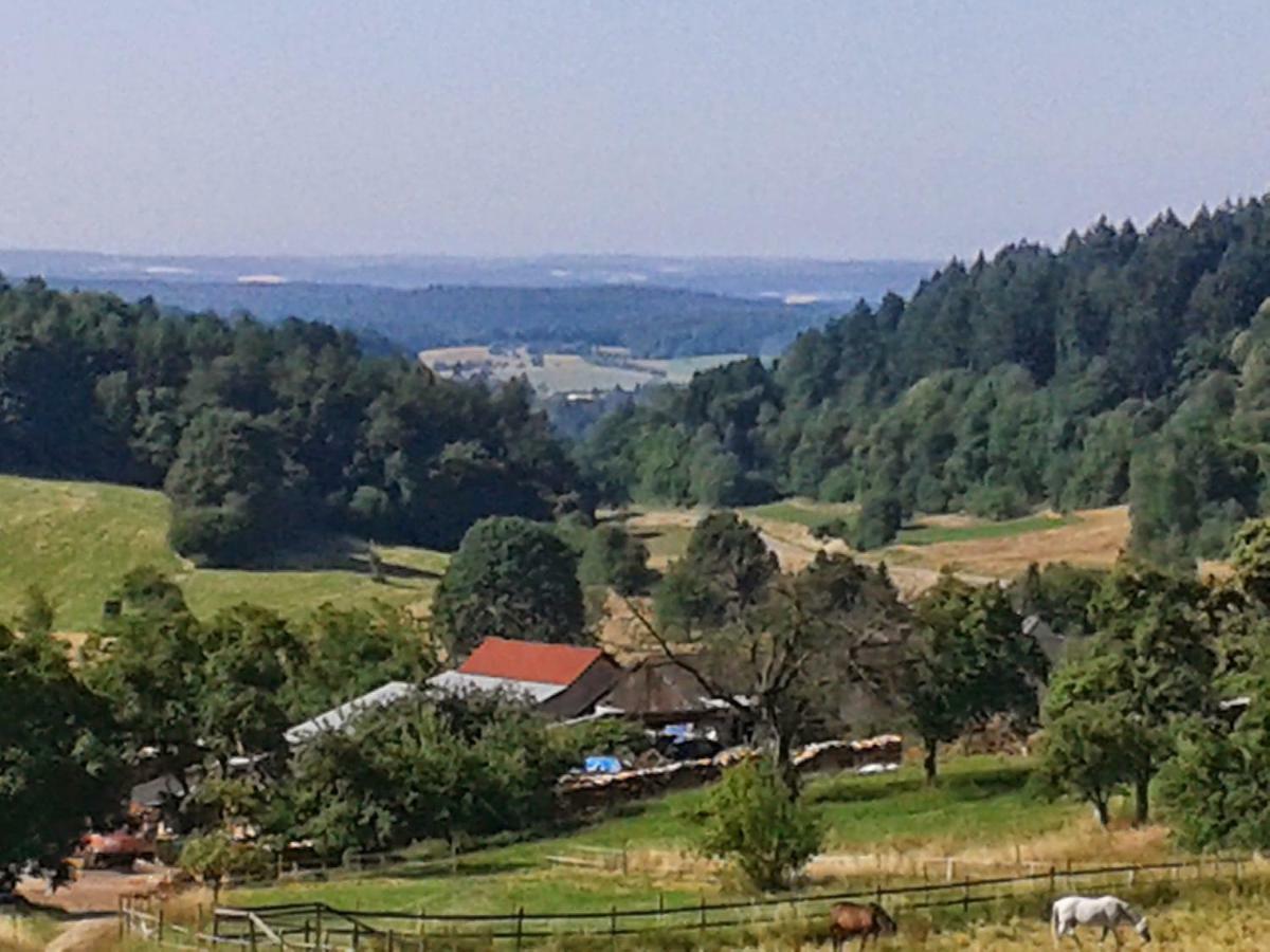 Fewo Darsberg Neckarsteinach Esterno foto