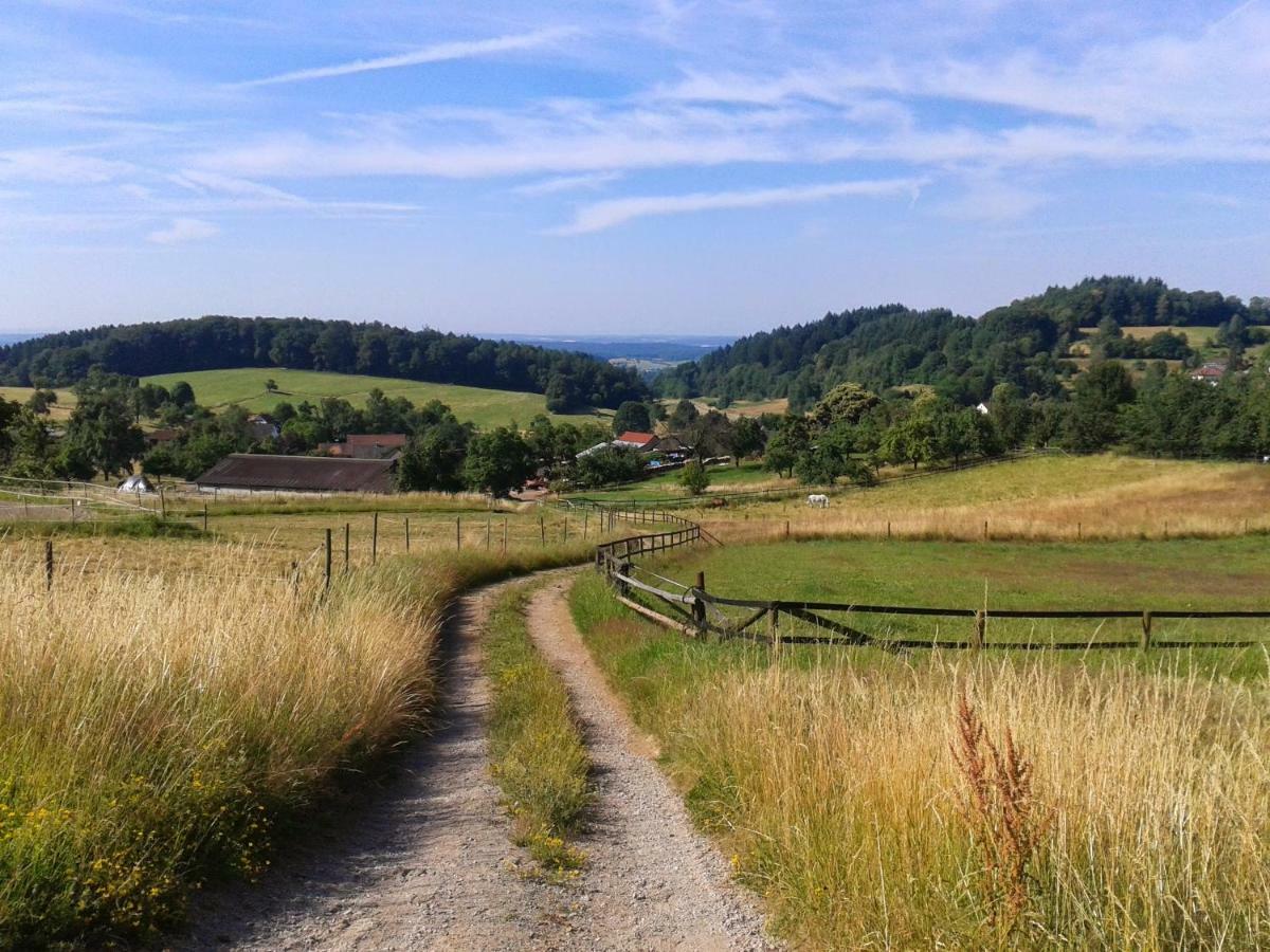 Fewo Darsberg Neckarsteinach Esterno foto