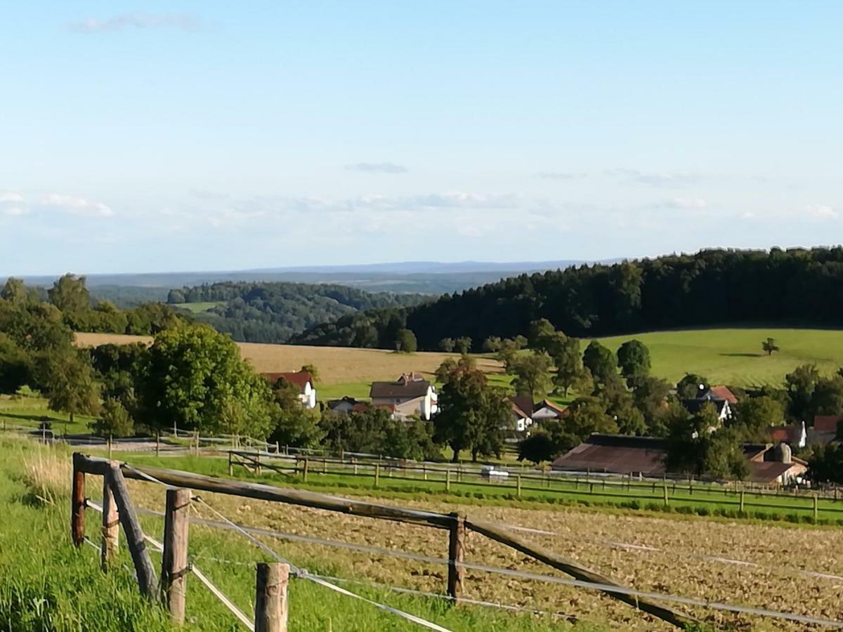 Fewo Darsberg Neckarsteinach Esterno foto