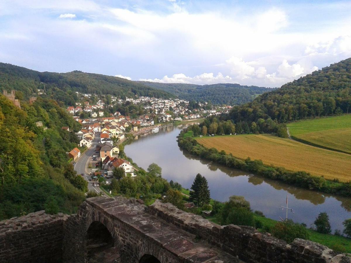 Fewo Darsberg Neckarsteinach Esterno foto